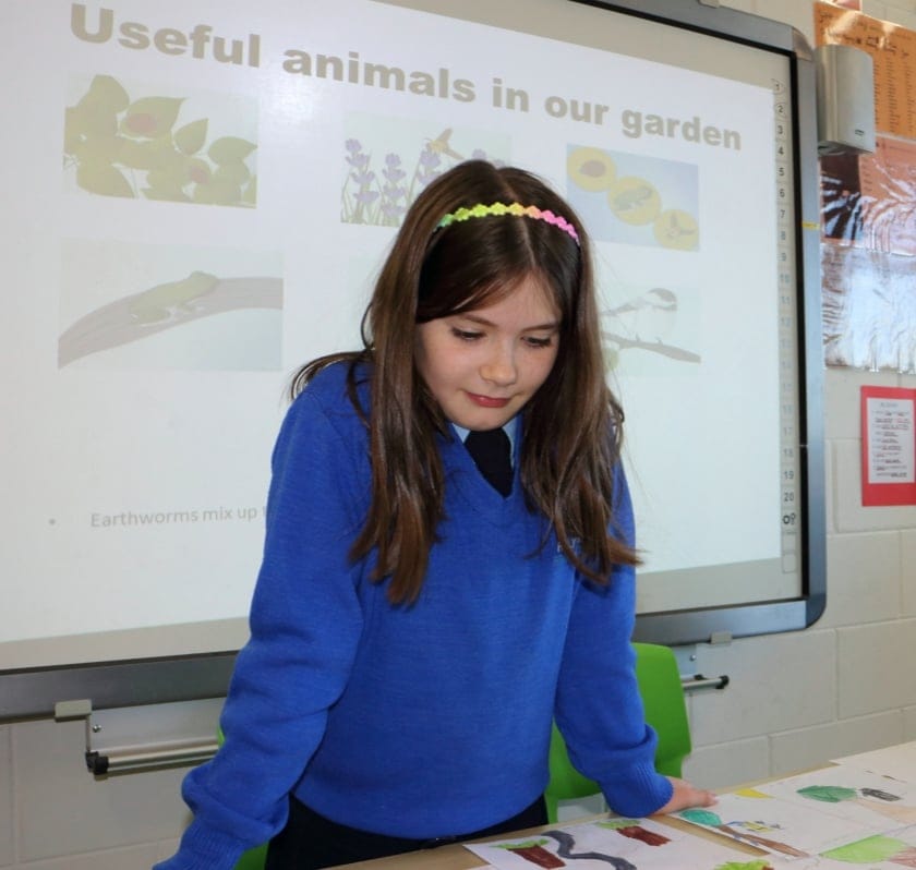 Holy Rosary Open Day Photos 2014
