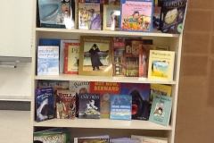 Books. These books are for building bridges programme being used throughout the school.