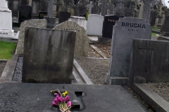 aodb-glasnevin-cemmetary-95