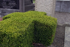 aodb-glasnevin-cemmetary-97