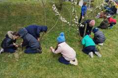 IMG-20210428-WA0006