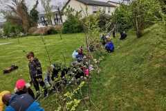 IMG-20210428-WA0009